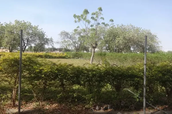 JARDIN PUBLIC DE LA COMMUNE DE MAGA