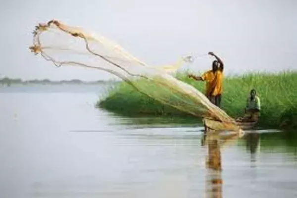 LA PECHE DANS LE LAC ARTIFICIEL DE MAGA