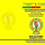 AnyConv.com__PCA