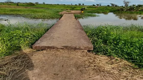 Réhabilitation passerelle dans le drain rizicole de mourla