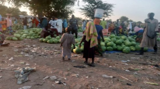 Le marché de pastèque à pouss dans la commune de Maga