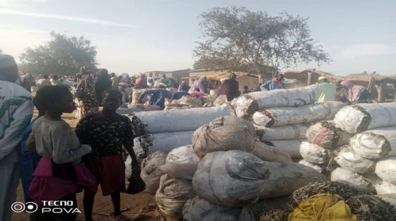 Le marché du poisson fumé et de poisson sec dans la commune de Maga